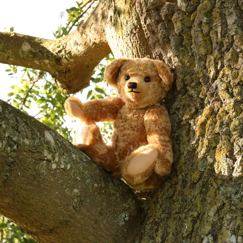 Load image into Gallery viewer, Edward: Christopher Robin's teddy bear 18"
